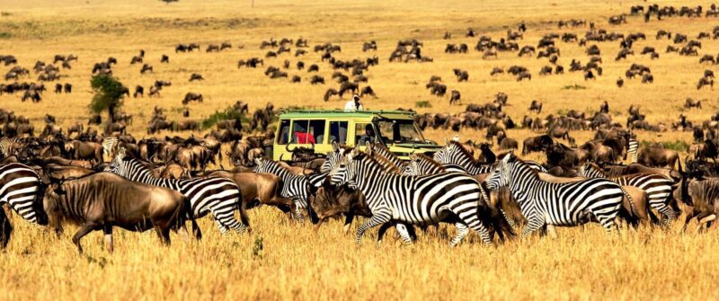 Places to Visit in Africa for First Timers